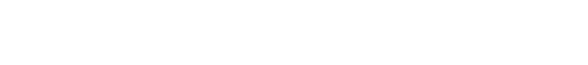 서브비주얼 타이틀